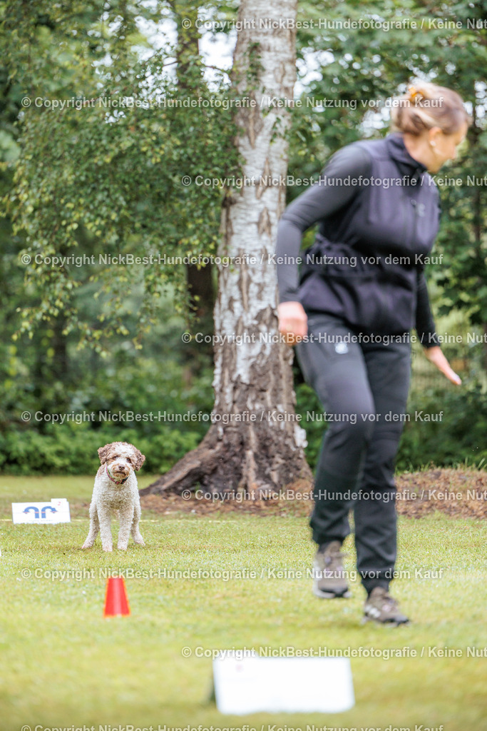 RO-Blumenthal-2026-Nickbest-Hundefotografie-0318 | Dein Hund! Dein Moment! Deine Erinnerungen! Hundefotografie in Bremen Blumenthal. Ich fange die besonderen Momente deines Vierbeiners ein – ob Indoor mit Blitzanlage oder in der freien Natur. Sicher dir dein Moment und dein Termin für eure Erinnerungen.