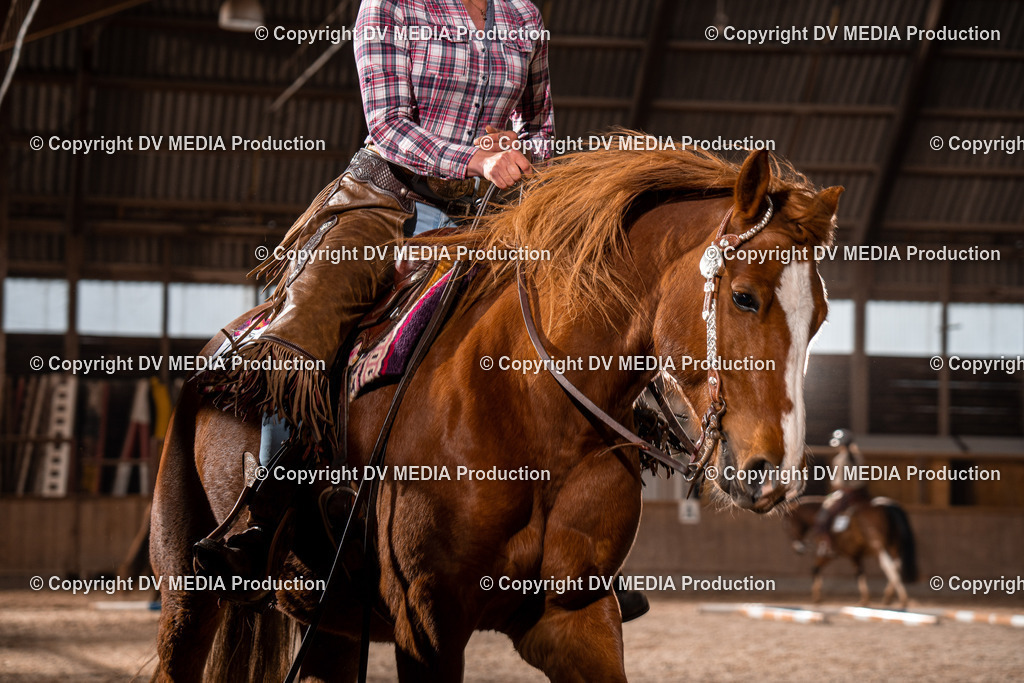 Heidelberg Tag 2-554 | dv-media-shop - Realisiert mit Pictrs.com