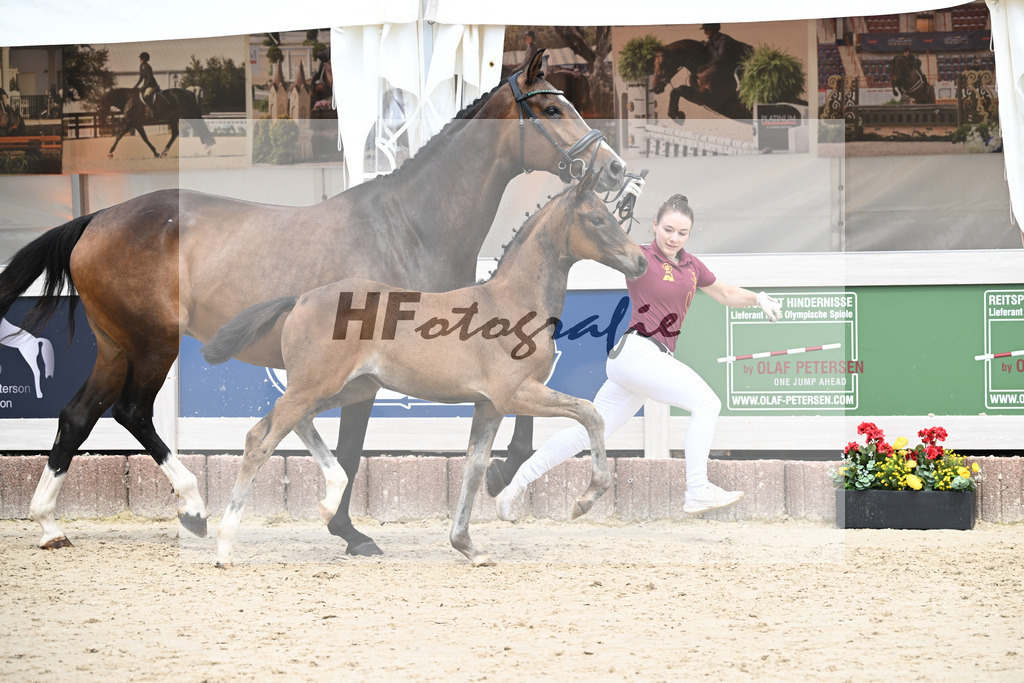 St. Emilion x Zoom_SF_Braig u Meyer_12250623 | hf-fotografie - Realisiert mit Pictrs.com