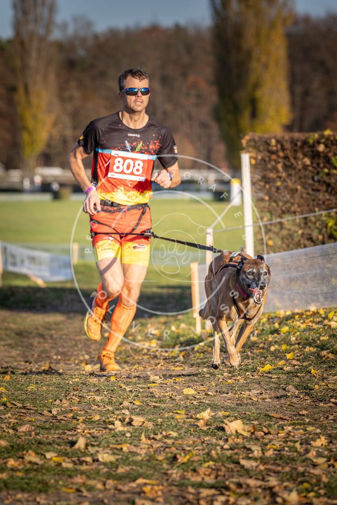 CaniXpix_DV3A3002 | Hundefotografie, Tierfotograf, Pfotenfotografie, Fotoshooting Hund, Hunde Portrait, Hundesport, Hundeportraits, Heideshooting, Hunde, Sportfotograf, Hundefotograf, Turnierhundsport, THS,  - Realisiert mit Pictrs.com
