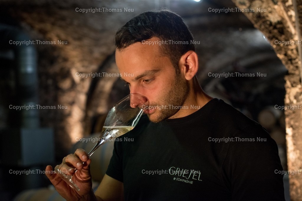 Sekt_24 |  Bensheim, Griesel-Sekt; Thema: Sektproduktion, Griesel , Niko Brandner, 