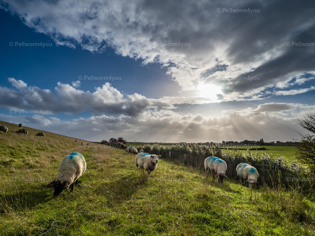 20181002PA020382_0037 | OLYMPUS DIGITAL CAMERA - Realisiert mit Pictrs.com