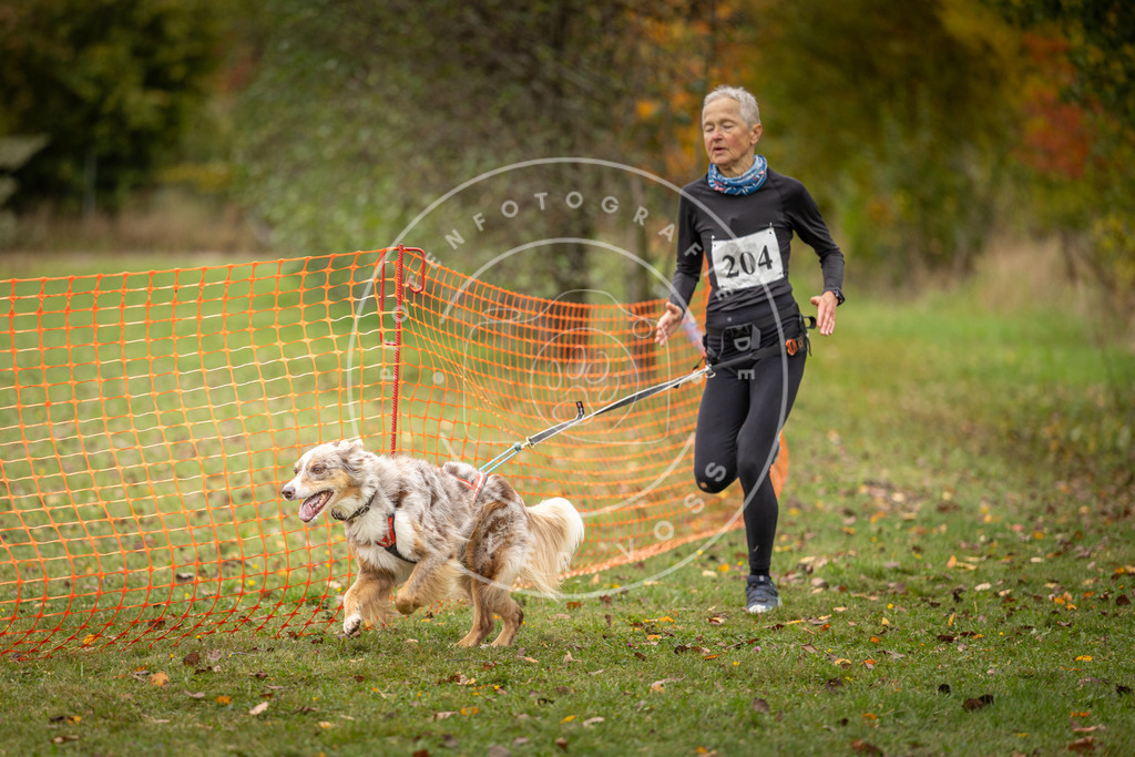 Pfotenfotografie_DV3A4172 | Hundefotografie, Tierfotograf, Pfotenfotografie, Fotoshooting Hund, Hunde Portrait, Hundesport, Hundeportraits, Heideshooting, Hunde, Sportfotograf, Hundefotograf, Turnierhundsport, THS,  - Realisiert mit Pictrs.com