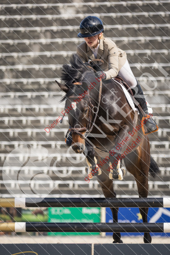 IMG_4609 | Sport-, Event- und Tierfotos in Profiqualität. Einfach auswählen, bestellen und herunterladen. Dein Moment – perfekt festgehalten.
