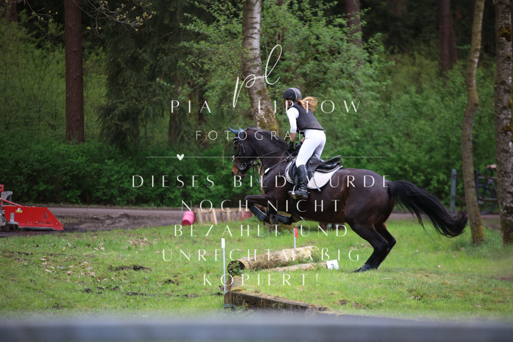 IMGT1961 | pl-fotografie