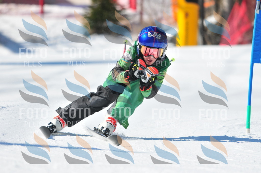 C2992 | holidayphoto