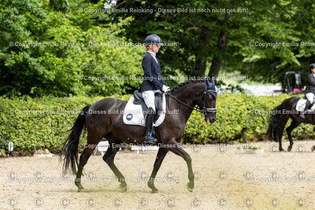 CL5A2051 | Emilia Reinking Fotografie - Realisiert mit Pictrs.com