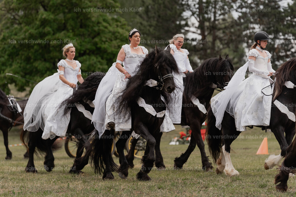 Showprogramm-298 | working equitationturnier fotograf videograf stoibphotography marixx film working equitation deutschland reitsport turnierfotografie eventfotografie equestrian events
