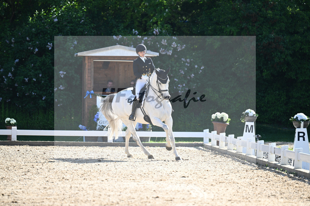 Schuermann_Heldgards Accoya_12244859 | hf-fotografie - Realisiert mit Pictrs.com