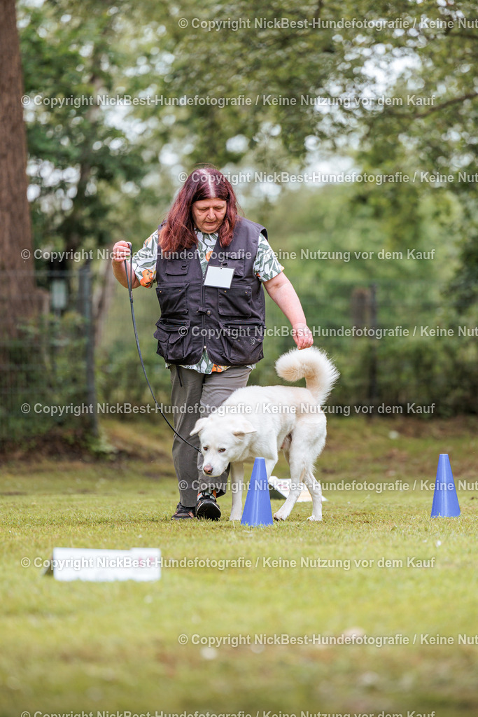 RO-Blumenthal-2026-Nickbest-Hundefotografie-5009 | Dein Hund! Dein Moment! Deine Erinnerungen! Hundefotografie in Bremen Blumenthal. Ich fange die besonderen Momente deines Vierbeiners ein – ob Indoor mit Blitzanlage oder in der freien Natur. Sicher dir dein Moment und dein Termin für eure Erinnerungen.