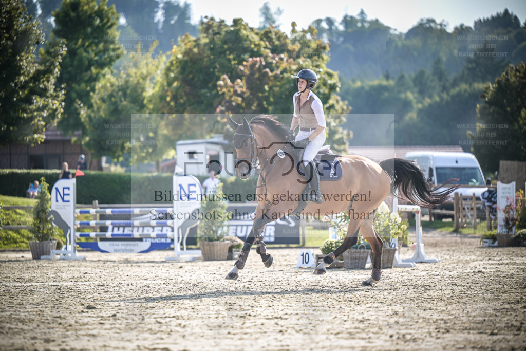 DOS_0634 | Entdecke hochwertige Reitturnierfotos von Foto Oger. Professionell, emotional und authentisch – jetzt Lieblingsmomente im Shop bestellen. - Realisiert mit Pictrs.com