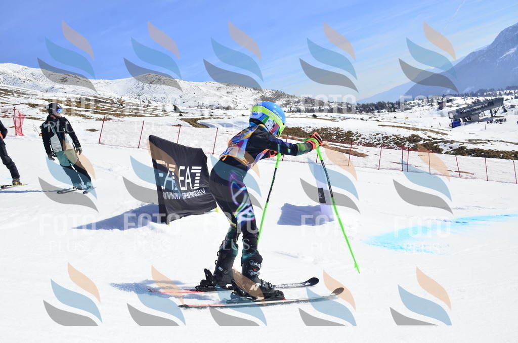 _ELE0545 | holidayphoto