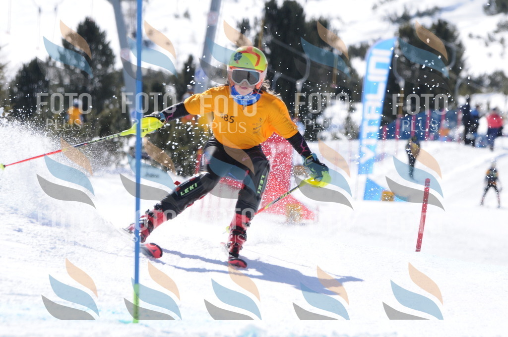 C9260 | holidayphoto