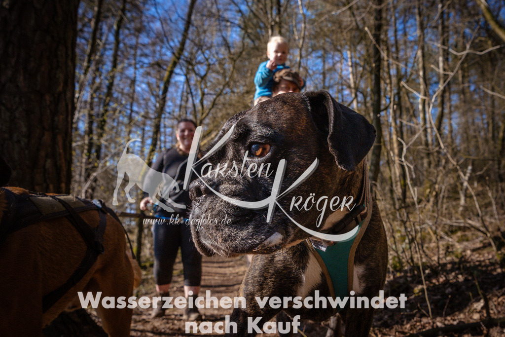 0945_ZZ99791 | kk-dogfotos