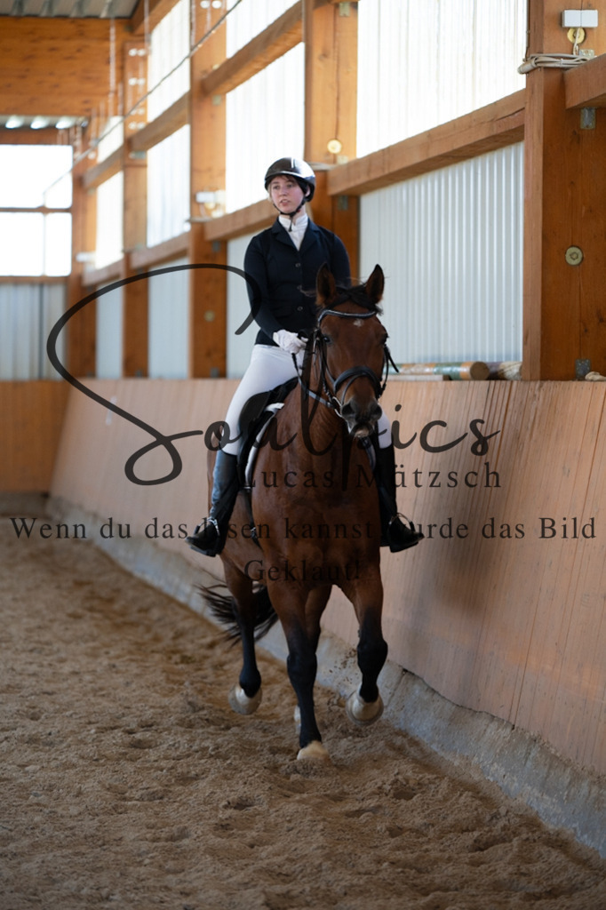 A7V01774 | Turnier/Reitfotograf