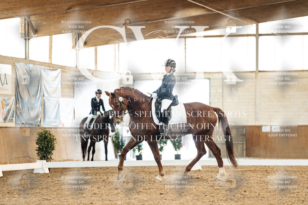CK908309 | Turnierfotografie Pferdefotografie Trier Rheinland-Pfalz Pferdesport Reitsport Tierfotografie Sportfotografie Pferdevideo Pferdevideografie Equestrianvideography equestrianphotography  - Realisiert mit Pictrs.com