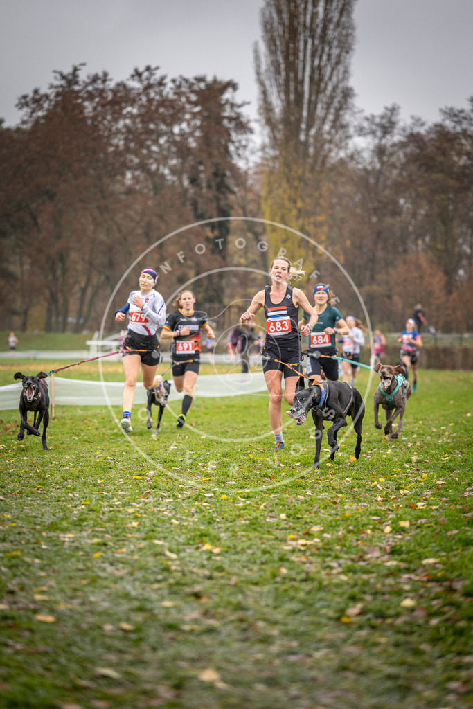 CaniXpix_DV3A8978 | Hundefotografie, Tierfotograf, Pfotenfotografie, Fotoshooting Hund, Hunde Portrait, Hundesport, Hundeportraits, Heideshooting, Hunde, Sportfotograf, Hundefotograf, Turnierhundsport, THS,  - Realisiert mit Pictrs.com