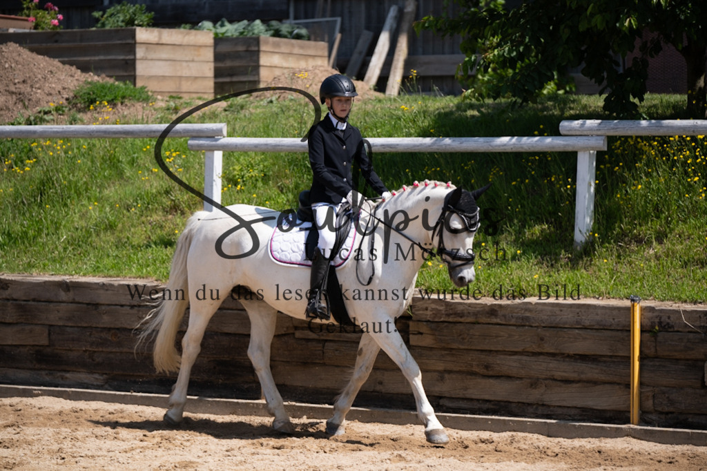 A7V08019 | Pferdefotograf