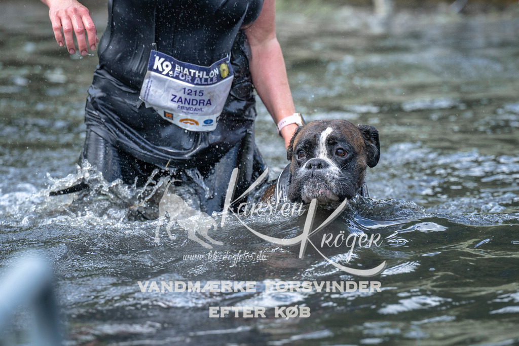 1122_ZZ91857 | kk-dogfotos