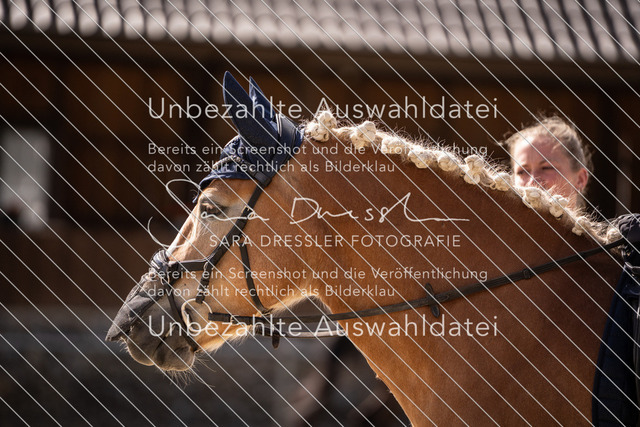 SD_OES26_02086 | saradresslerfotografie - Realisiert mit Pictrs.com