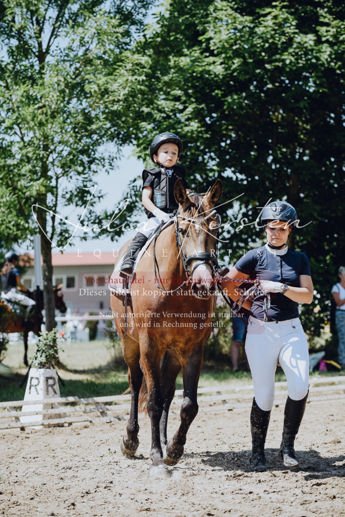 DSC_2494 | Pferde- und Turnierfotografie in Westsachsen. Pferdeportraits, Auftragszeichnungen und intuitive Kunst.