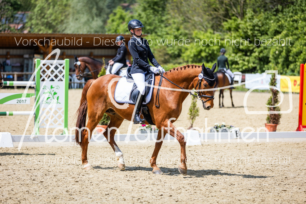 Donop24-EDre-004 | MomenTaufnahmen Pferdesportfotos