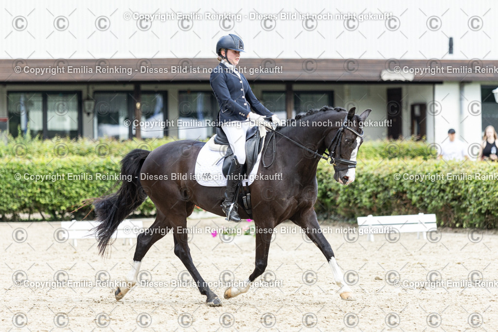 CL5A5910-2 | Emilia Reinking Fotografie - Realisiert mit Pictrs.com