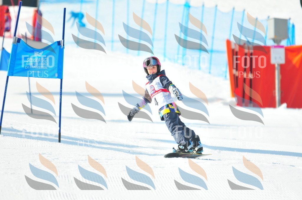 B8742 | holidayphoto