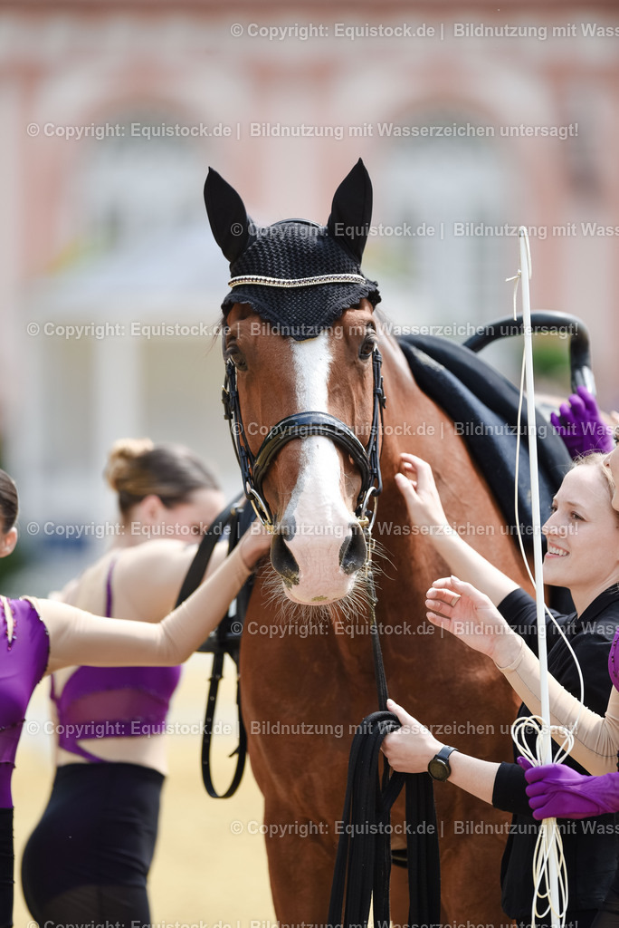 20250608_CVI-Masterclass_1135 | Foto: Thomas Hartig