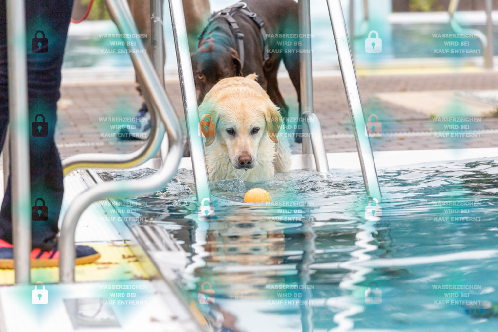 _HP_7203_1000o | HetPix, HetPix Fotodesign, Fotografie, Fotodesign, Webshop, Sportfotografie, Portraitfotografie, Onlineshop, Sportfotografie, Polch, Motorsportfotografie, Eventfotografie