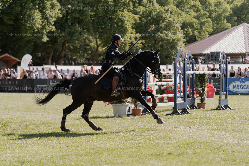 WE_MOS_Stoib_315_PI2025_2348 | Pferd International München 2025