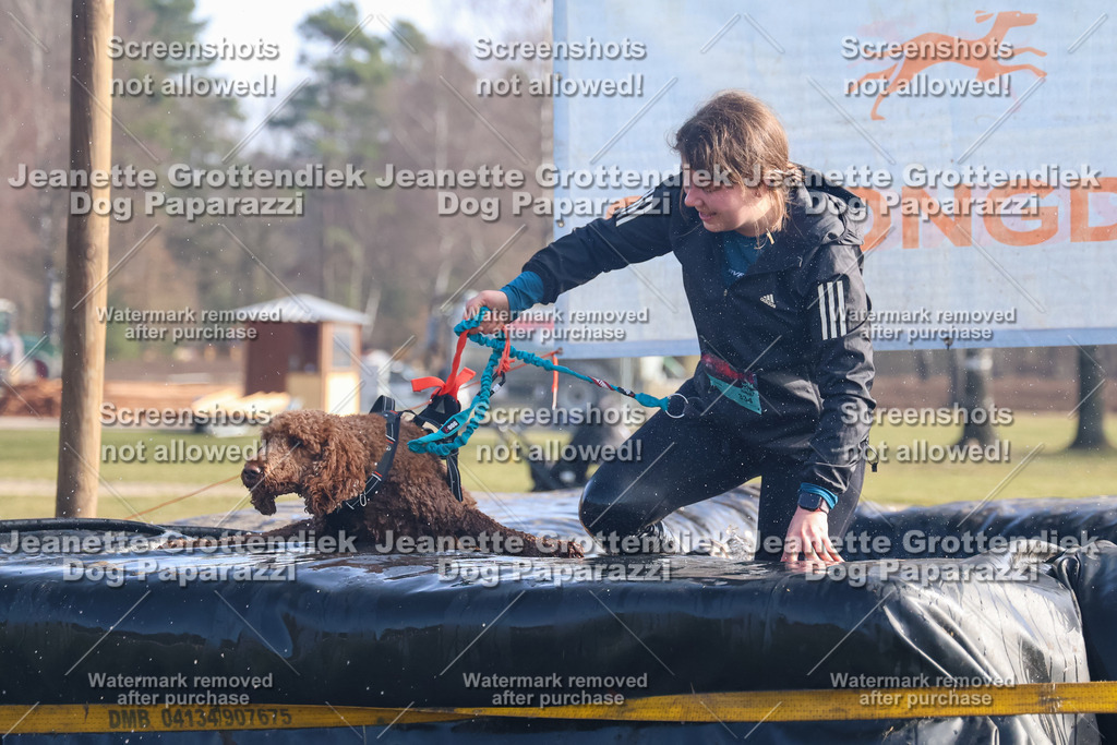 Dog Paparazzi - Strongdog North Mrz26-922 | Dog Paparazzi Jeanette Grottendiek Fotografie & Videografie - Realisiert mit Pictrs.com