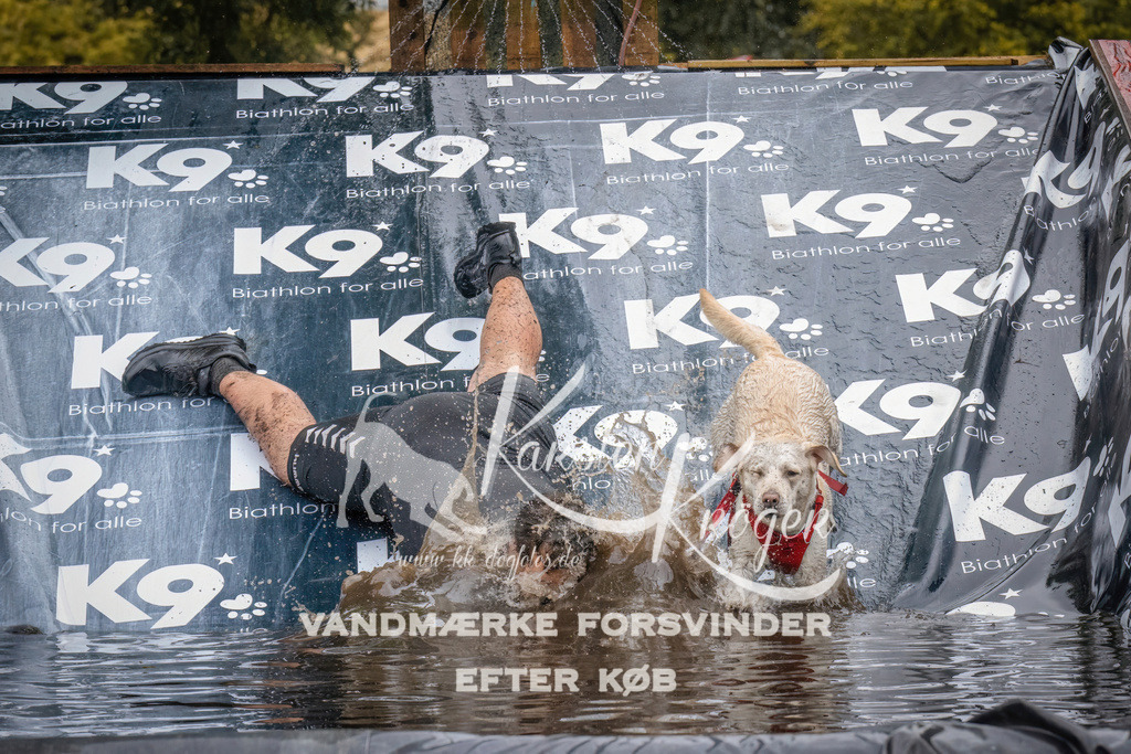 1249_ZZ90584 | kk-dogfotos