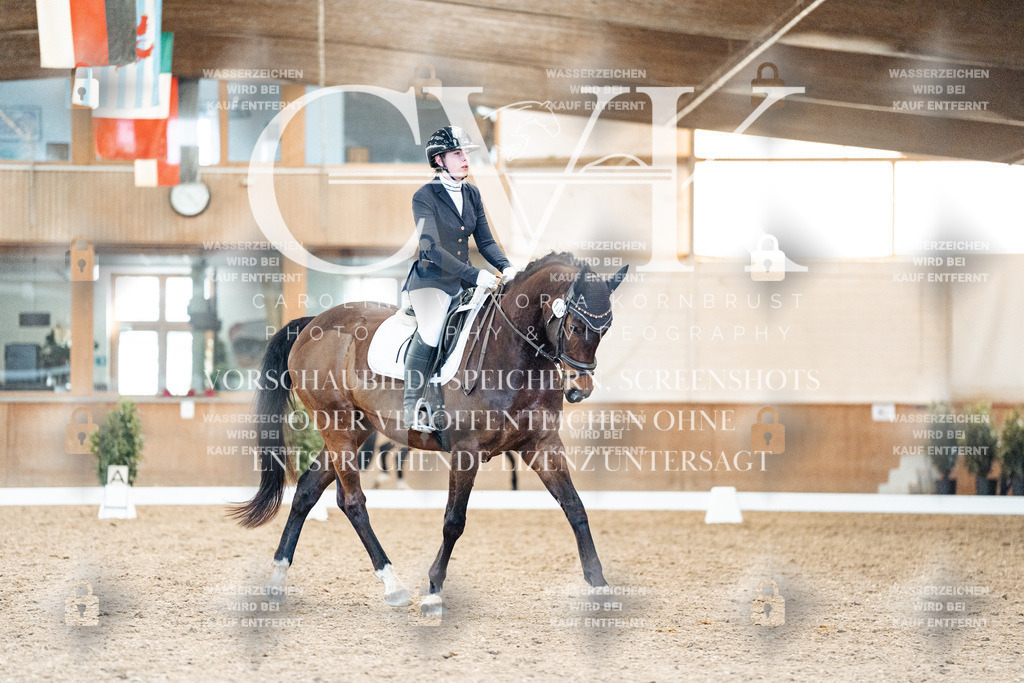 CK908421 | Turnierfotografie Pferdefotografie Trier Rheinland-Pfalz Pferdesport Reitsport Tierfotografie Sportfotografie Pferdevideo Pferdevideografie Equestrianvideography equestrianphotography  - Realisiert mit Pictrs.com
