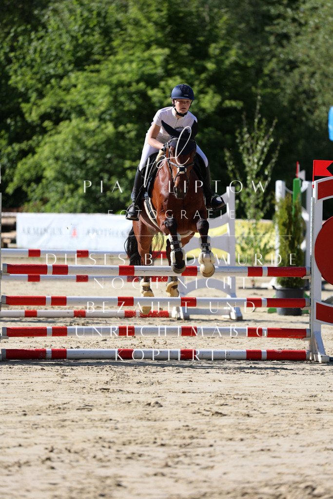 IMGS5288 | pl-fotografie