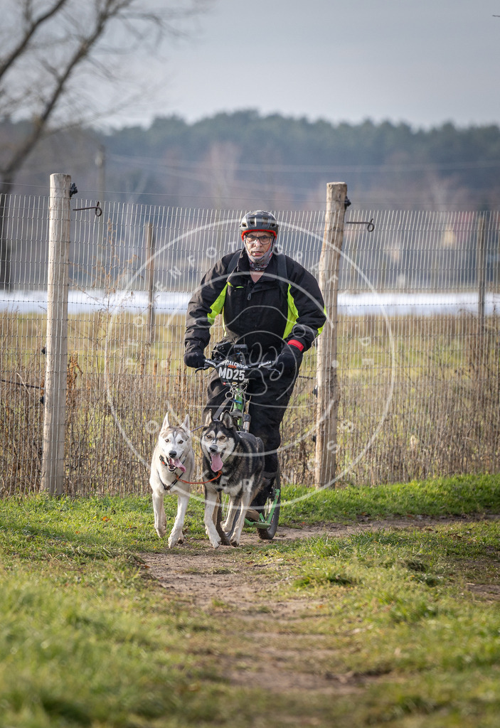 Pfotenfotografie_DV3A6877 | Hundefotografie, Tierfotograf, Pfotenfotografie, Fotoshooting Hund, Hunde Portrait, Hundesport, Hundeportraits, Heideshooting, Hunde, Sportfotograf, Hundefotograf, Turnierhundsport, THS,  - Realisiert mit Pictrs.com