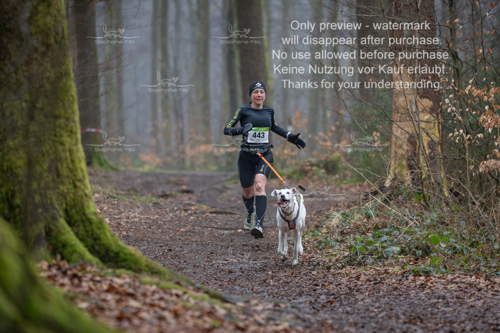 Canix_So-17 | stephaniefillaphotographie - Realisiert mit Pictrs.com