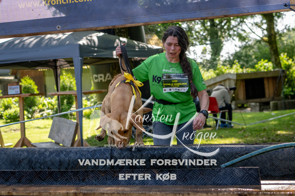 1503_ZZ90054 | kk-dogfotos