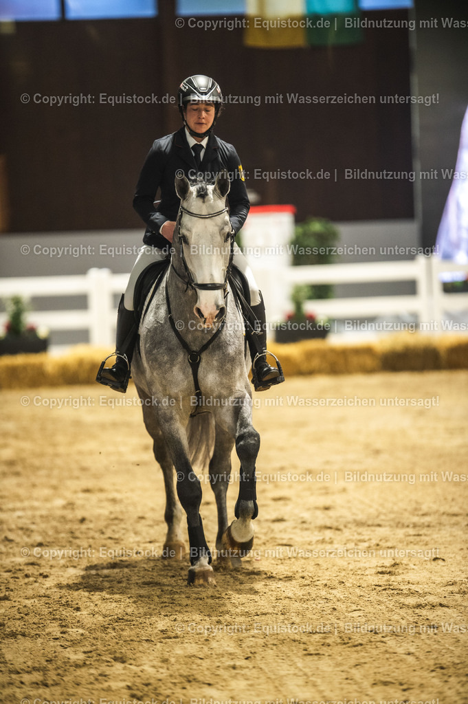 20240302_Hengstvorstellung_Marbach_TOMsPiC_0318 | equistock