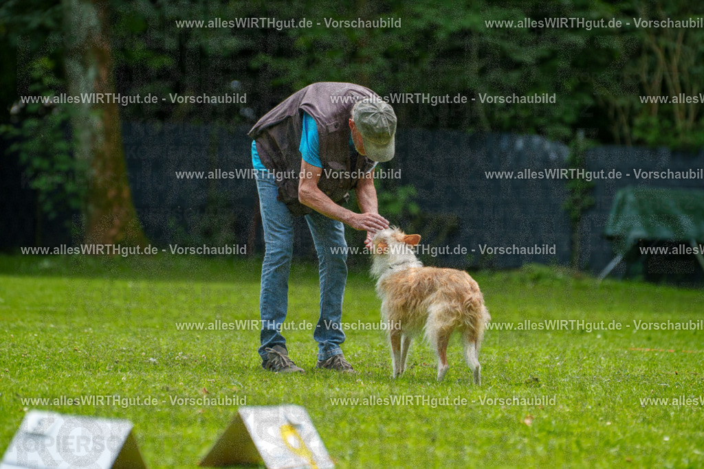 @allesWIRTHgut_Tierfotografie - www.allesWIRTHgut.de - 7R505625 | Professionelle Tierfotografie in Mönchengladbach von Daniel Wirth (allesWIRTHgut). Liebevolle & natürliche Bilder von Hunden & Katzen für unvergessliche Erinnerungen.