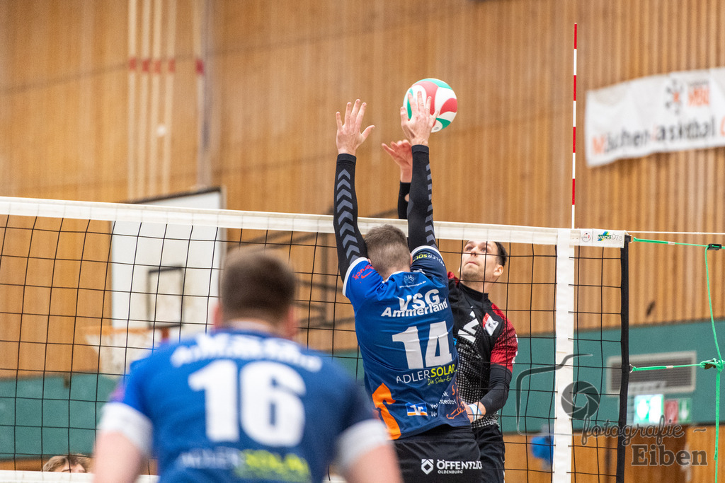 Oldenburger TB-VSG Ammerland | Volleyball Regionalliga; Oldenburger TB-VSG Ammerland am 24.01.2026 in Oldenburg (Sporthalle Haarenesch), Photo: Philip Eiben 2026 - Realized with Pictrs.com