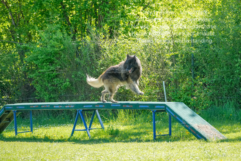 Sa_VK3_03-37 | stephaniefillaphotographie - Realisiert mit Pictrs.com