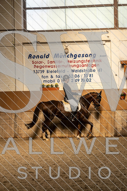 2L2A1944 | stallwerkstudio - Realisiert mit Pictrs.com