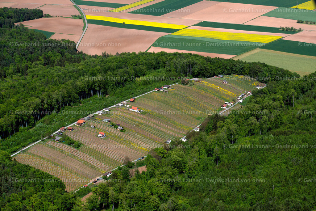 3500802 | Weinberg bei Großwallstadt