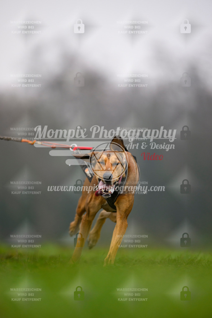 MompixPhotography_CDF2023_FFST_Di_Bike1-41 | PayLife