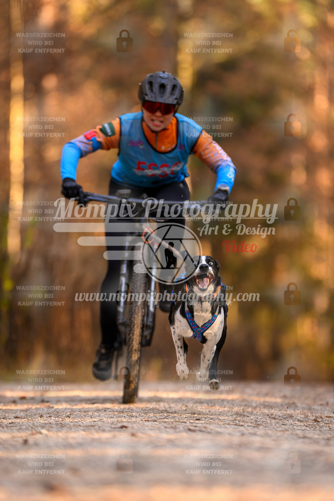 MompixPhotography_DM_AKDM_SO_2025_Bike-85 | PayLife
