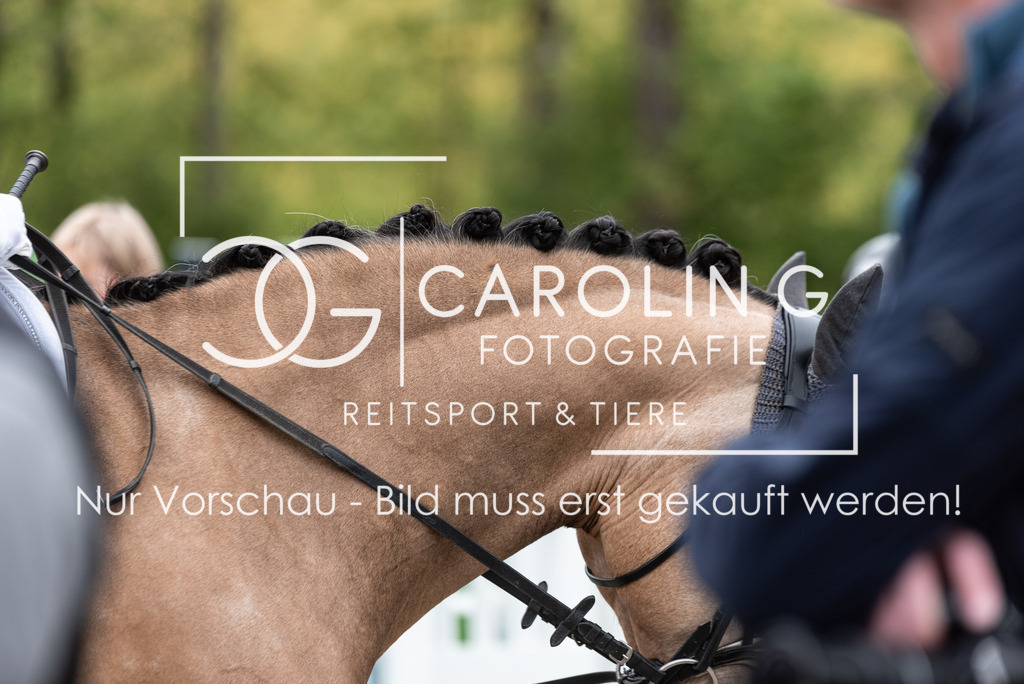 DSC_6770 | Turnierfotografin Carolin Gieschke, Turnierfotografie Carolin G Fotografie, Turnierfotos Kirchheim/Teck, Esslingen, Stuttgart, Bodenseekreis