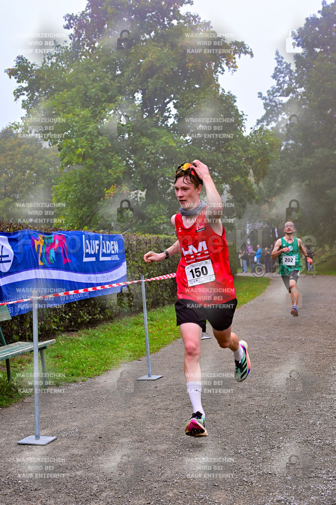 Z8N_1157 | la-psv - Realisiert mit Pictrs.com