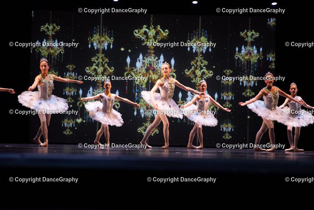 GPHY5869 | DanceGraphy - Realisiert mit Pictrs.com