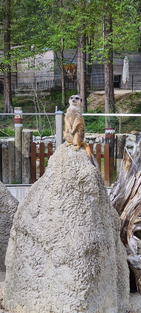 20210518_163822 | Heilkarten - Realisiert mit Pictrs.com